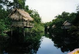 http://t3.gstatic.com/images?q=tbn:ANd9GcT4ULFPB1ck0ita59nwnH458Hl2oUXXAWyO29RwX_AulFtHsds5