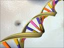 Scientists develop open-source genome analyzer | TG Daily