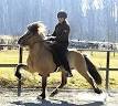 Pony - Wikipedia, the free encyclopedia