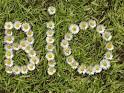 Saveur du Jour Blog: Bio, the French Organic