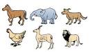 http://vectordiary.com/isd_post/2010/vector-animals/Animal-vector.jpg