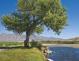 external image images?q=tbn:ANd9GcT5EDfznG_o7WNY5dofUIR5BZjRRI_pBg9zybpzbzmguPy2ojvK-Q