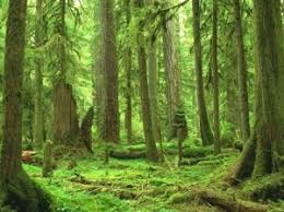 Daily Comments #7- Just place to plant your thoughts. No feedback required.