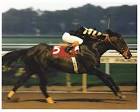Seattle Slew Belmont Photo