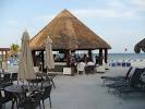 Swingers Bar (Shelley H,