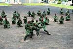 File:Hand-to-hand combat skills of the Comoran Army.jpg ...