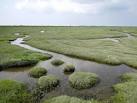 SD4525 : Marshland east of the - via Daymix