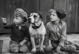 images?q=tbn:ANd9GcT5QUI2pXuY91icDCG2ttW