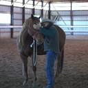 SuperStars of Horse Training