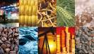 $2000 Gold by Q3 2012 as “Commodity Investment Flows Rebound ...