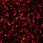 Hot Coals 5427 by *DonnaMarie113 on deviantART