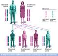 Mayo Clinic medical information and tools for healthy living ...