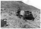 Tractor hauling weir lumber - via Daymix