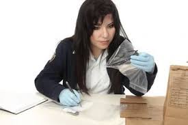 Criminal Justice 