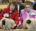 Champion Purebreds Kicked Out of Crufts Dog Show For Poor Health ...