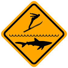 Jump the Shark