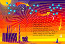 Resources for You > CFC-Free Medication for an Ailing Ozone Layer