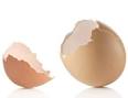 Reuse Eggshells – Things to Do with Egg Shells - Eggs - The Daily ...