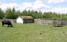 Dexter cattle, hut and - via Daymix