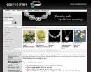 http://products.pixelmill.net/themes/pm/eshopblack-db.jpg