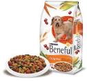 What NOT to Feed Your Dog ��� Purina Beneful | healthydogma