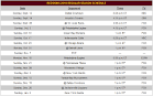 2010 Washington Redskins NFL SCHEDULE: First Reactions | Bleacher ...