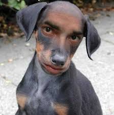 Bóng đá Việt Nam đang ngồi trên xuồng ba lá ra biển lớn. - 2