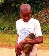Allen's swamp monkey - Wikipedia, the free encyclopedia