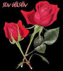 Mahmut Durgun Yar ile Sohbet Bin Alt�n Eder
