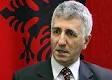 Riza HALIMI, Deputy and the
