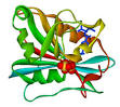 Dihydrofolate reductase - Wikipedia, the free encyclopedia