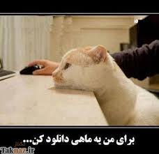 [عکس: images?q=tbn:ANd9GcT7v2boZIAhFHQT0Efunsj...xkODzZNBIy]