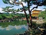 On Japan Baby Boomer Going Like Sixty