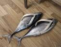 Florida voters! WEAR flip-flops! Don't vote for them! « The Radio ...