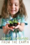 Earth Day Treats
