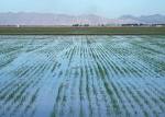 Clean Water Act : Becker's Iowa Environmental Law Update