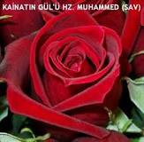 SENSİN YA RESULALLAH