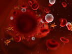 Medical Blog » Blog Archive » Clopidogrel Dosing and CYP2C19
