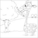 Giraffe coloring page
