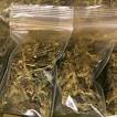 WASHINGTON COULD BECOME POT SOURCE FOR NEIGHBORS - CBS 12 Action News