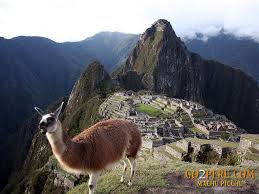 L'Antica città perduta di Machu Picchu  Images?q=tbn:ANd9GcT8eDIxBb6xCikI_GzDmRhy2rFf23JyWffjF58Cz6c7SjR9ke-nHw
