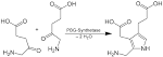 File:Porphobilinogen