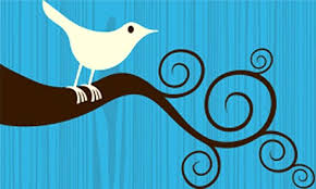 bird on branch