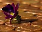 Penny coins public domain - via Daymix