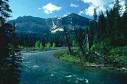 Save America's Forests
