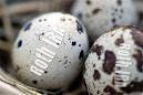 How To Open A Roth IRA And Where To Open An Account