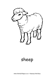 Image result for sheep coloring page