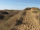 Sand dunes on Kenfig Burrows - via Daymix