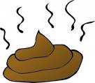 Feces clip art | Download free Vector