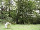 Woodland" with its oaks and beeches, some fallen and decaying. - via Daymix